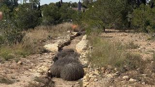 "La destrucción de un acueducto romano y de canteras milenarias es un atentado contra la historia"