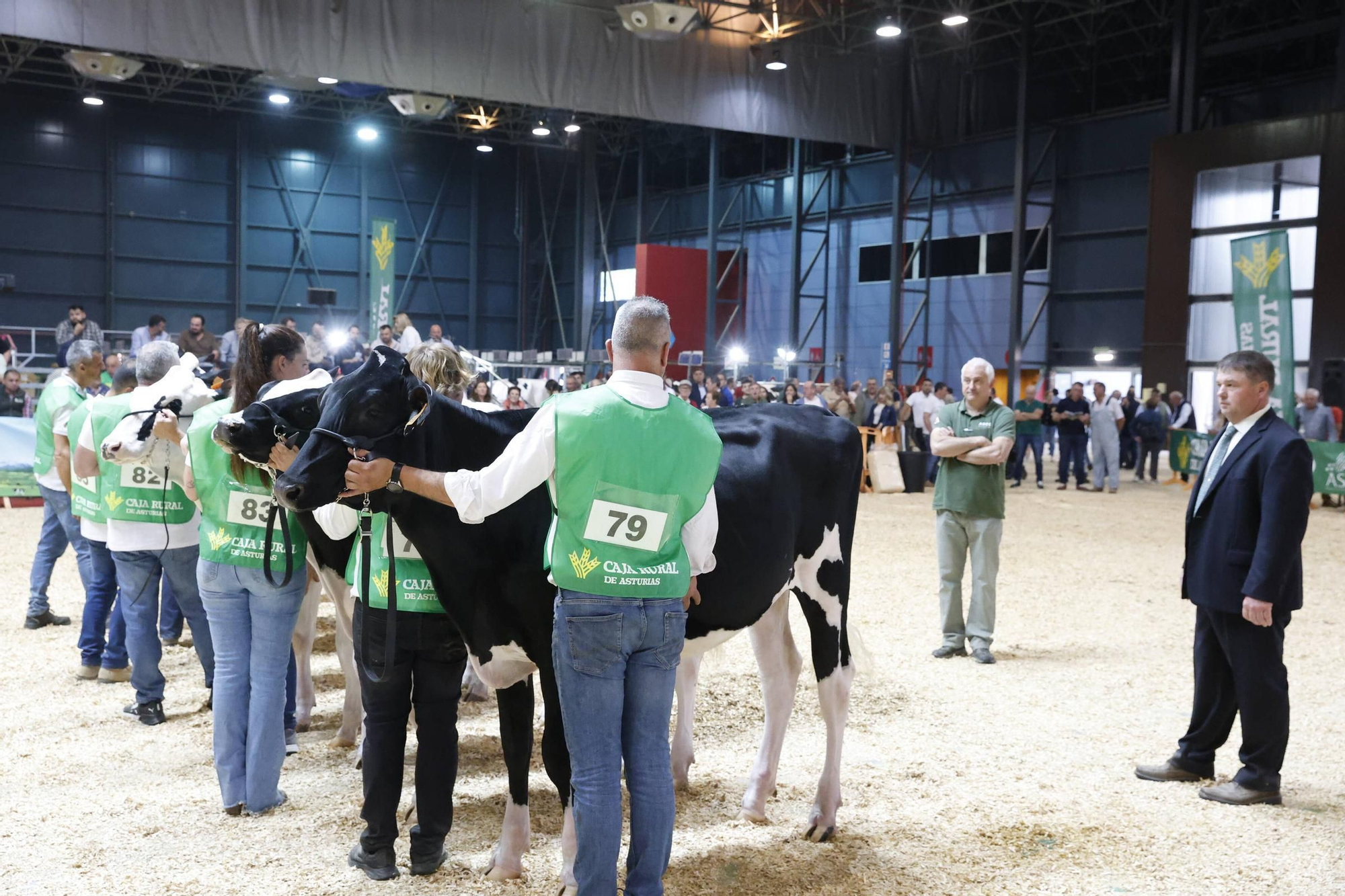 El concurso en Gijón de la mejor vaca de Asturias, en imágenes