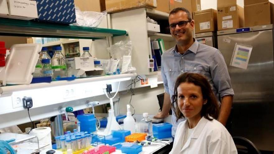 Científics catalans identifiquen les cèl·lules que creen metàstasi