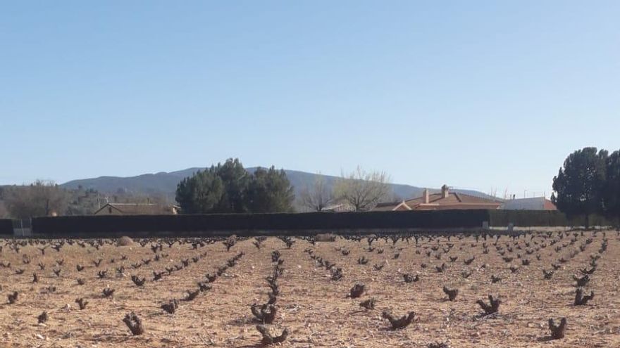 Alerta en el campo murciano por la reducción de la jornada laboral