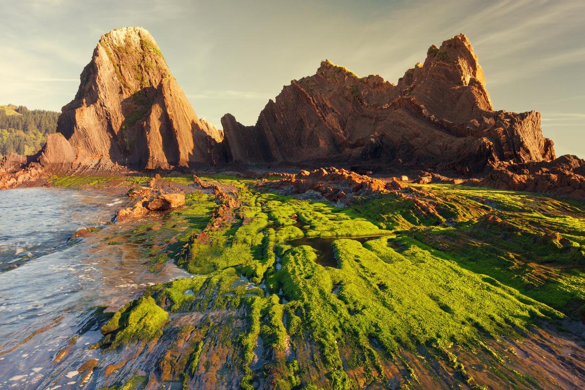 Flysch de la playa Saturraran, Mutriku