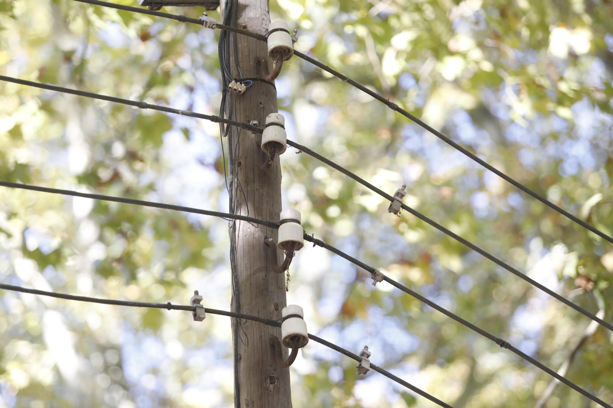 La renovació de l’enllumenat del parc la Devesa costarà més d’1,8 milions