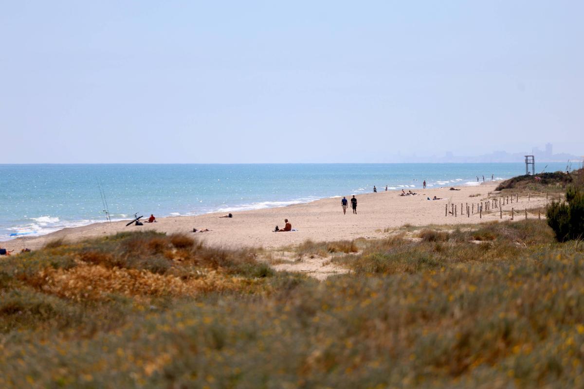 La playa de l'Arbre del gos en El Saler es una de las que ha recibido la bandera negra