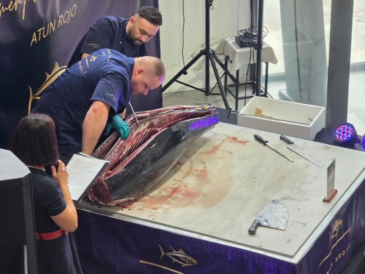 Así se disfrutó del ronqueo de un atún rojo de 200 kilos pescado en las almadrabas gaditanas, organizado por Novomar Arousa y el restaurante La Baldosa, en Vilagarcía.