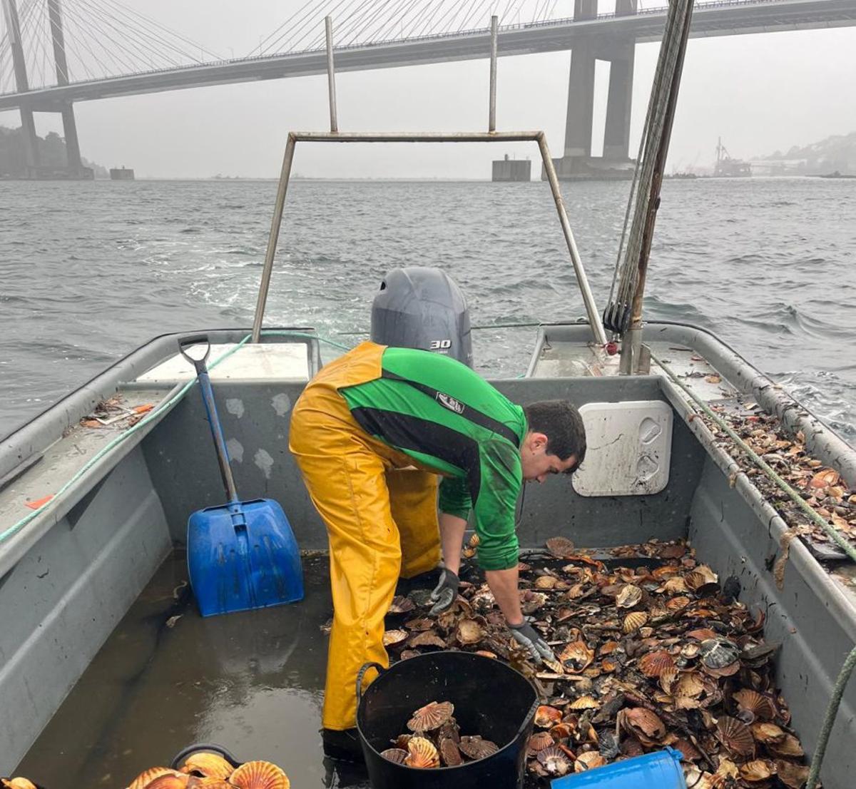 Uno de los barcos que extrajeron vieira el año pasado en Rande.