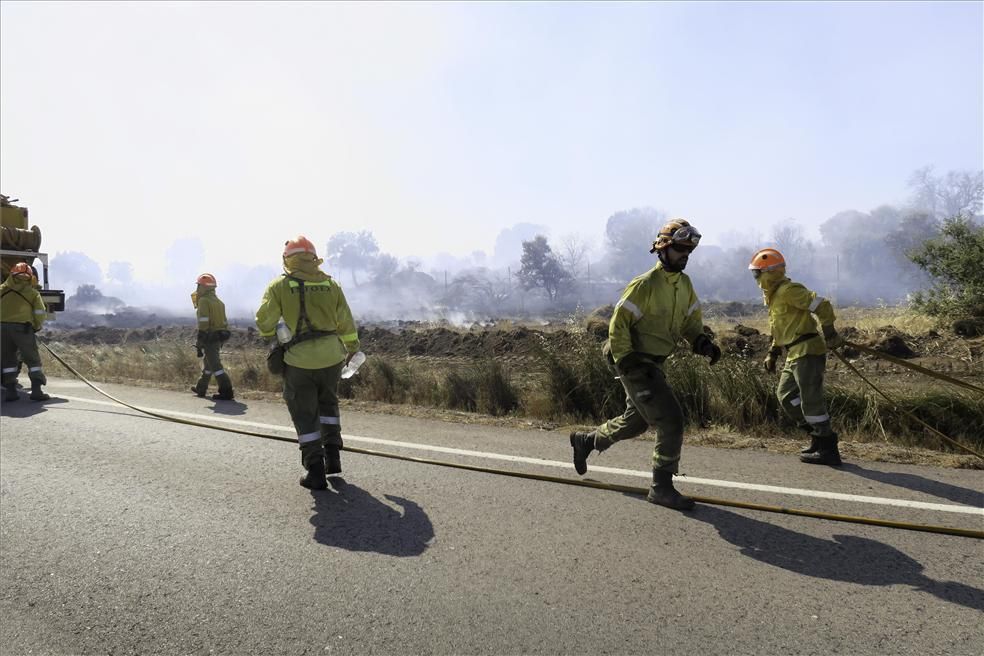 Incendio forestal en Cáceres