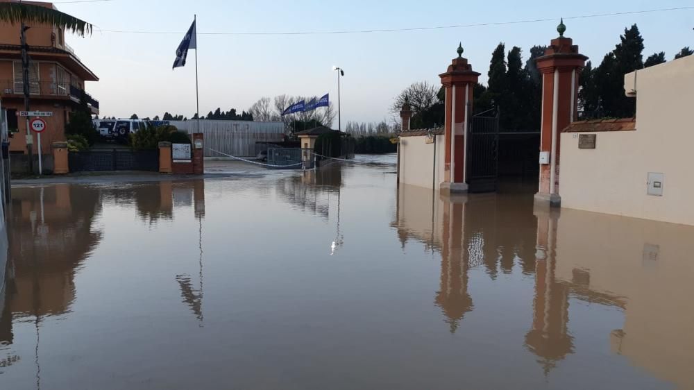 El creixement del Ter ha causat inundacions a Torroella