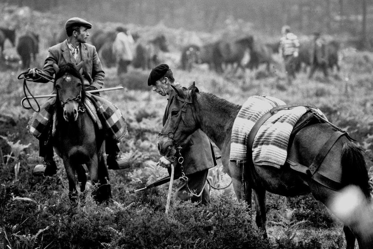 Imagen del libro "Caballos, hombres y mitos".