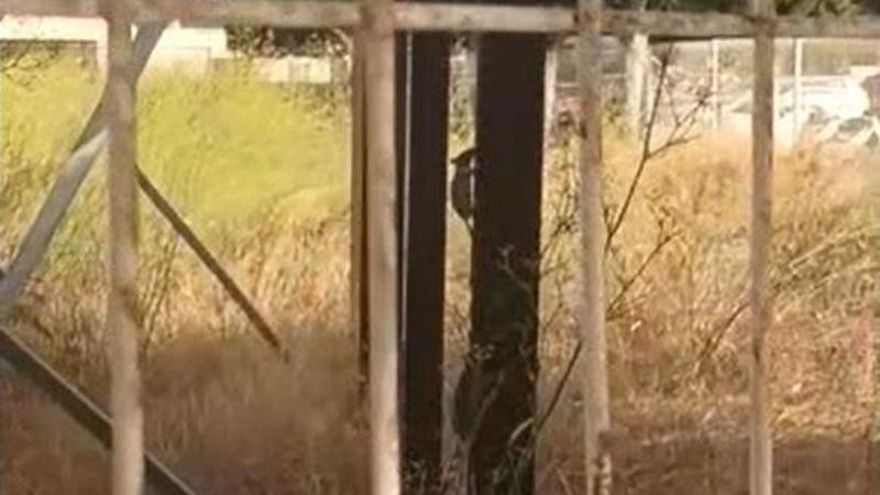 La semana empieza con chubascos en el tercio este y calor especialmente en el suroeste