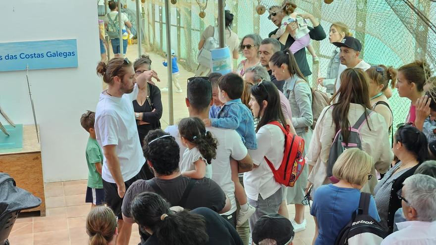 La afluencia de grupos al Acuario se ha multiplicado.