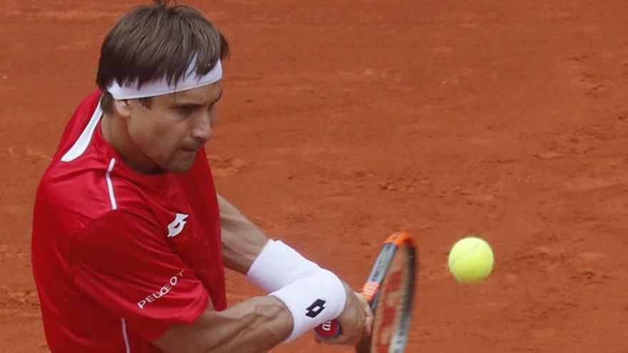 David Ferrer