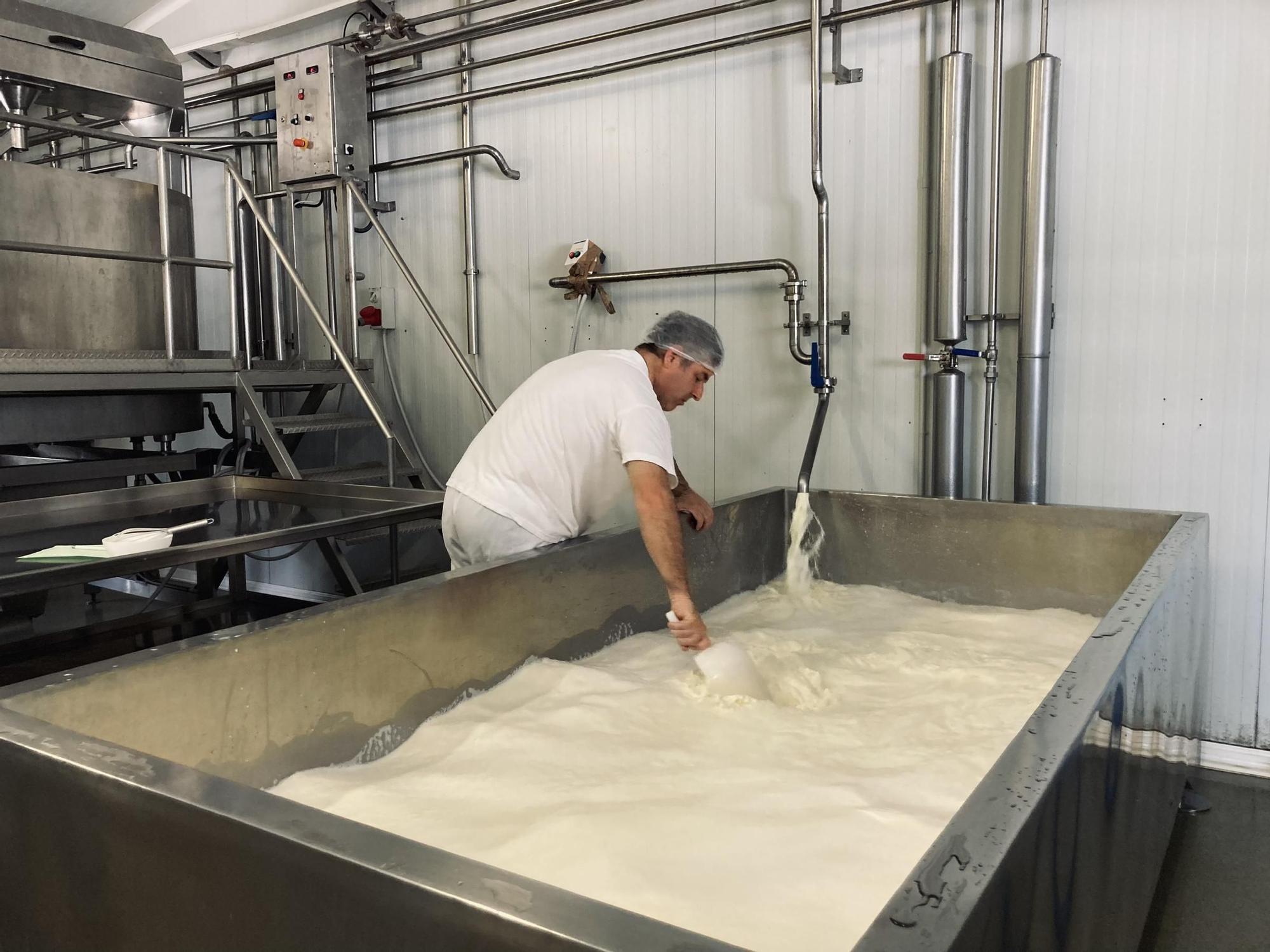 Uno de los trabajadores de la quesería controla la entrada de leche al tanque