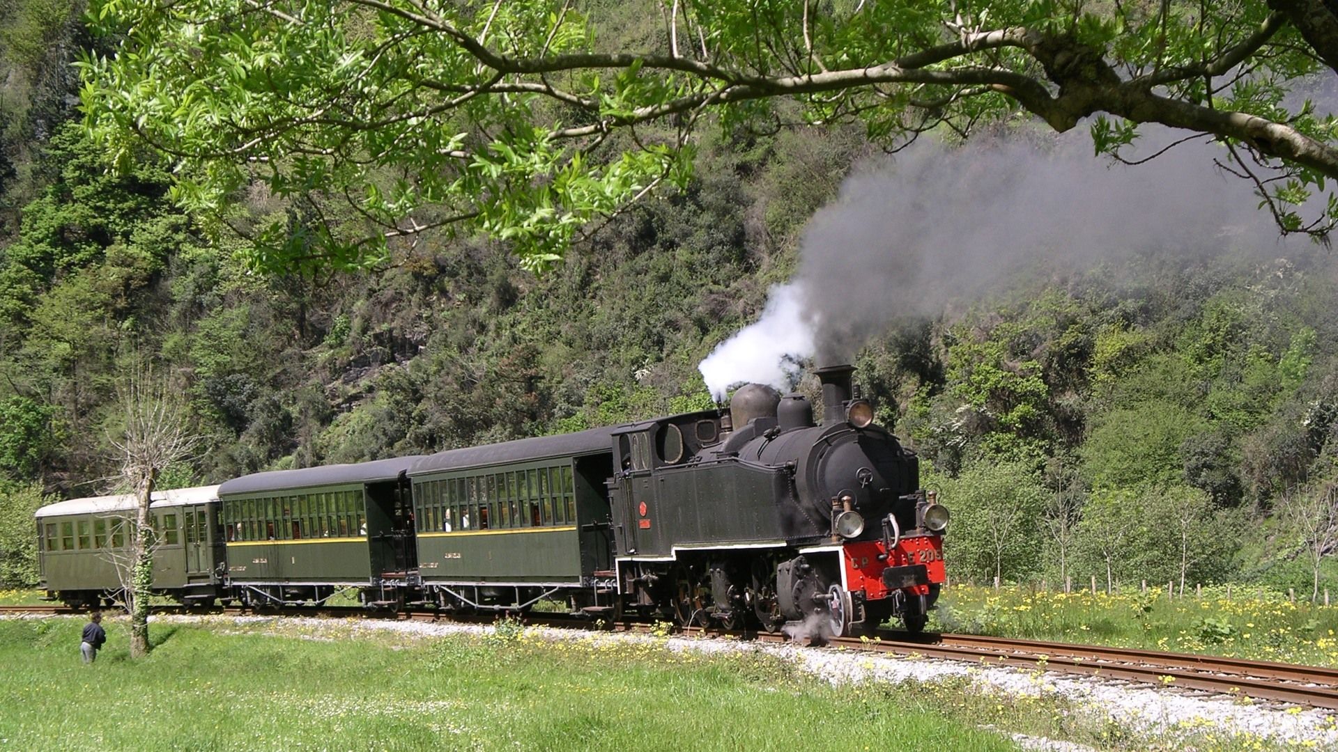 El tren que te ofrece los mejores paisajes de Euskadi: un tren de vapor ideal para niños y nostálgicos.
