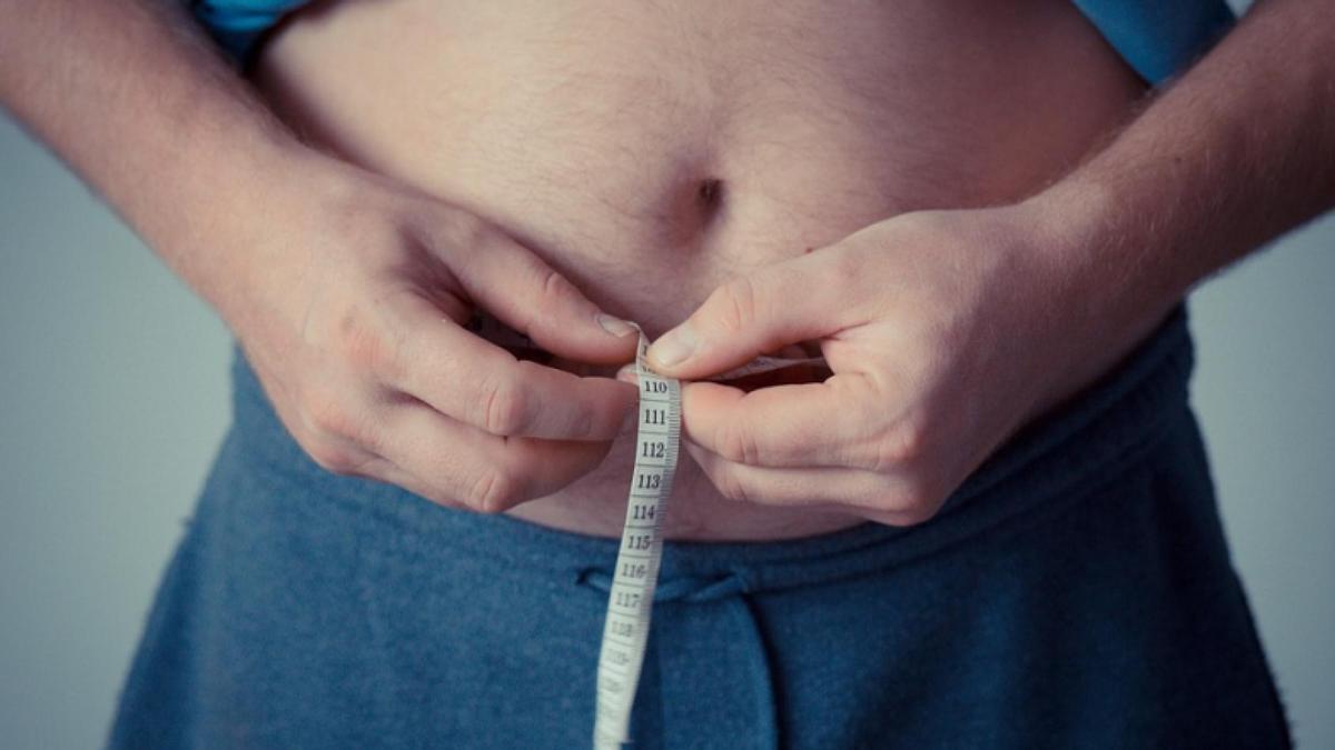 La Comunidad de Madrid identifica patrones que conectan la microbiota intestinal con la salud metabólica en la obesidad.
