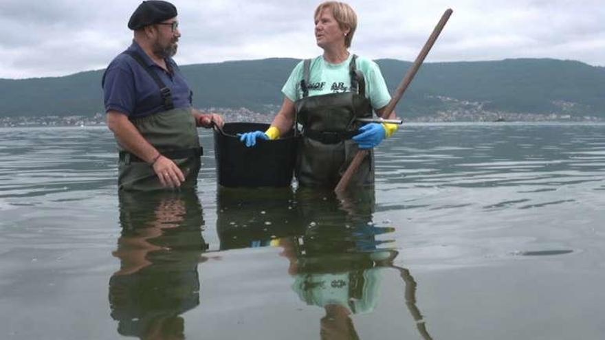 &quot;Pescadores de Historias&quot; de la TVG se traslada hoy al puerto de Lourizán