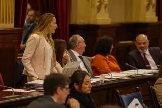 Crisis en Vox Baleares: expulsa del grupo parlamentario a su presidenta, la ibicenca Patricia de las Heras, y a Le Senne