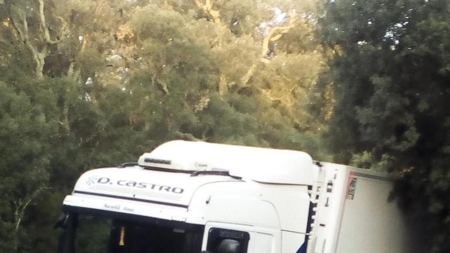 El camió va quedar immobilitzat al marge de la carretera.