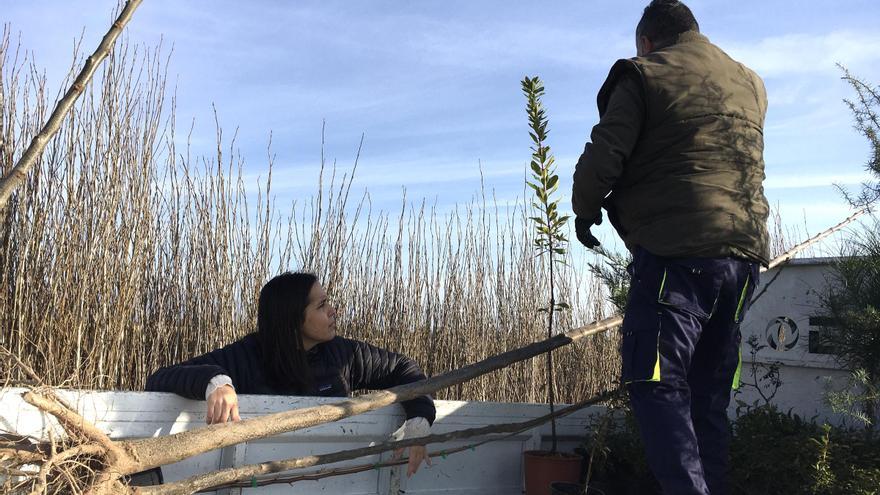 Lanzan una campaña con 20.000 árboles disponibles para que los ayuntamientos de Cáceres los soliciten