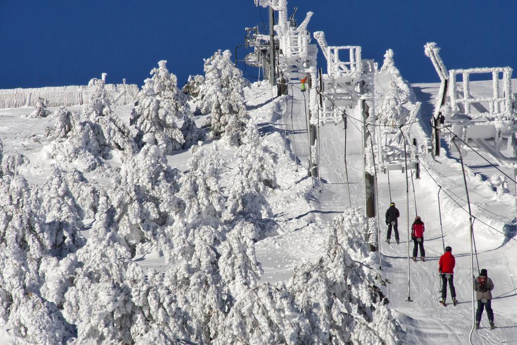 Puerto de Navacerrada