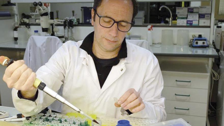 Moisés Mallo en el laboratorio del Instituto Gulbenkian de Ciencia en Lisboa.
