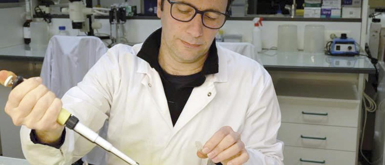 Moisés Mallo en el laboratorio del Instituto Gulbenkian de Ciencia en Lisboa. // Ana Mena