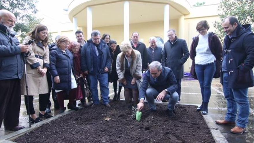 Plantan en el Botánico la &quot;bellota más grande&quot; de Los Pedroches