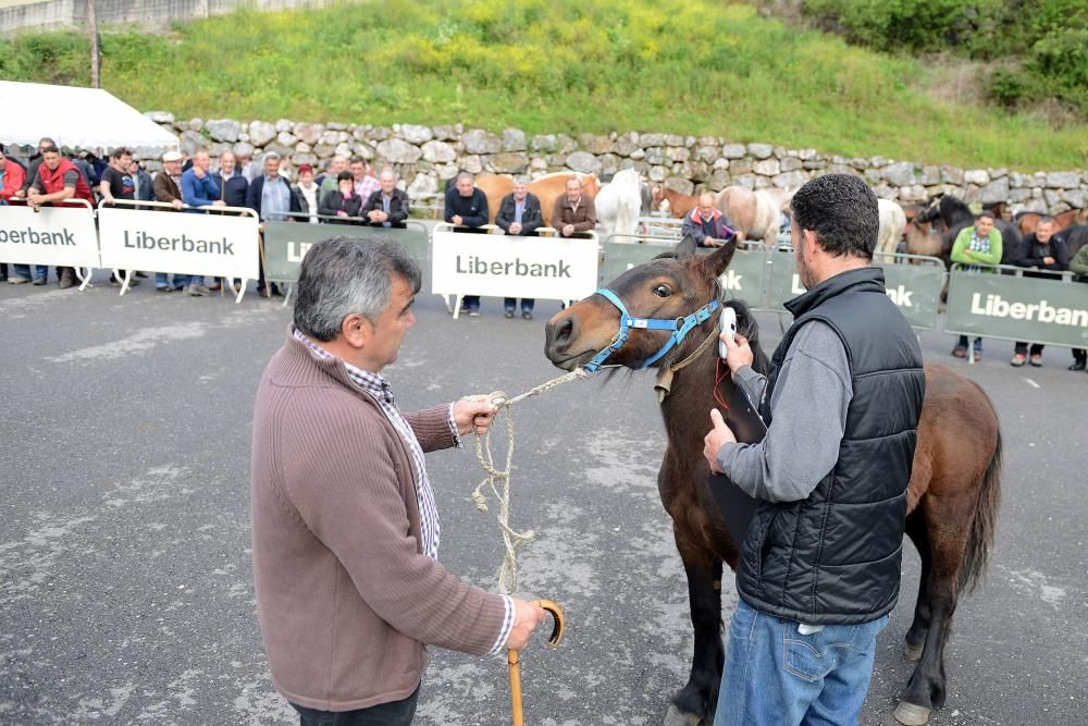 Feria del caballo de Riosa