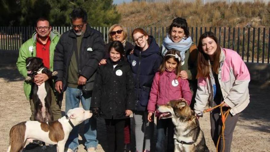 El Consejo de la Infancia contra las heces de perros en las calles