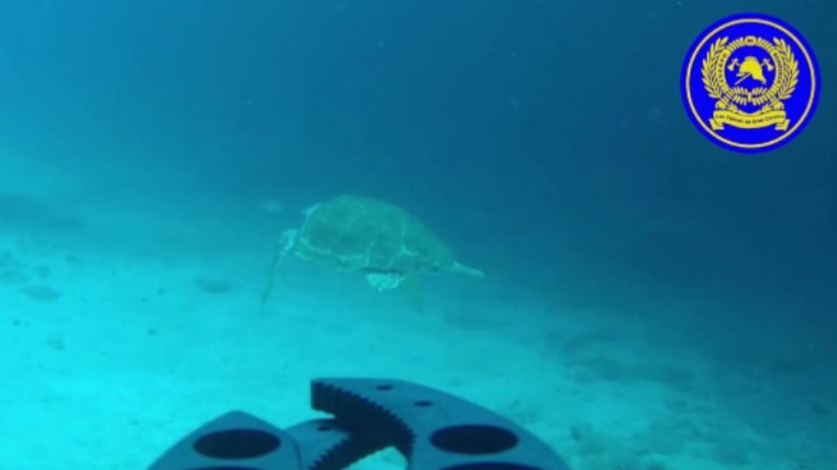 Imágenes del robot submarino que busca a Manoli en Arinaga