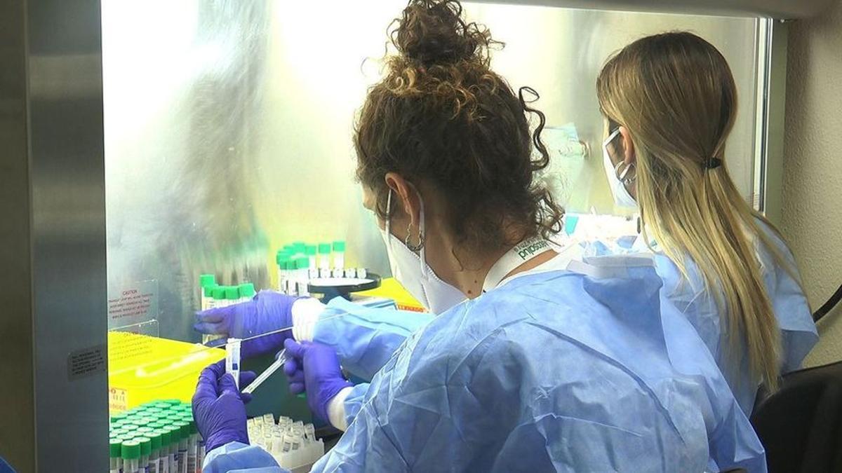 Análisis en el laboratorio clínico del área Metropolitana Nord para determinar si es más útil realizar los test de antígenos en la boca o la nariz.  /