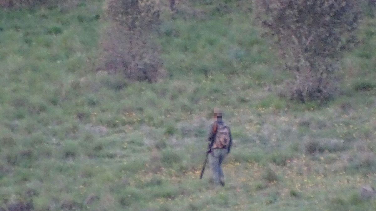 Un cazador pasea por un coto de la provincia de Zamora.