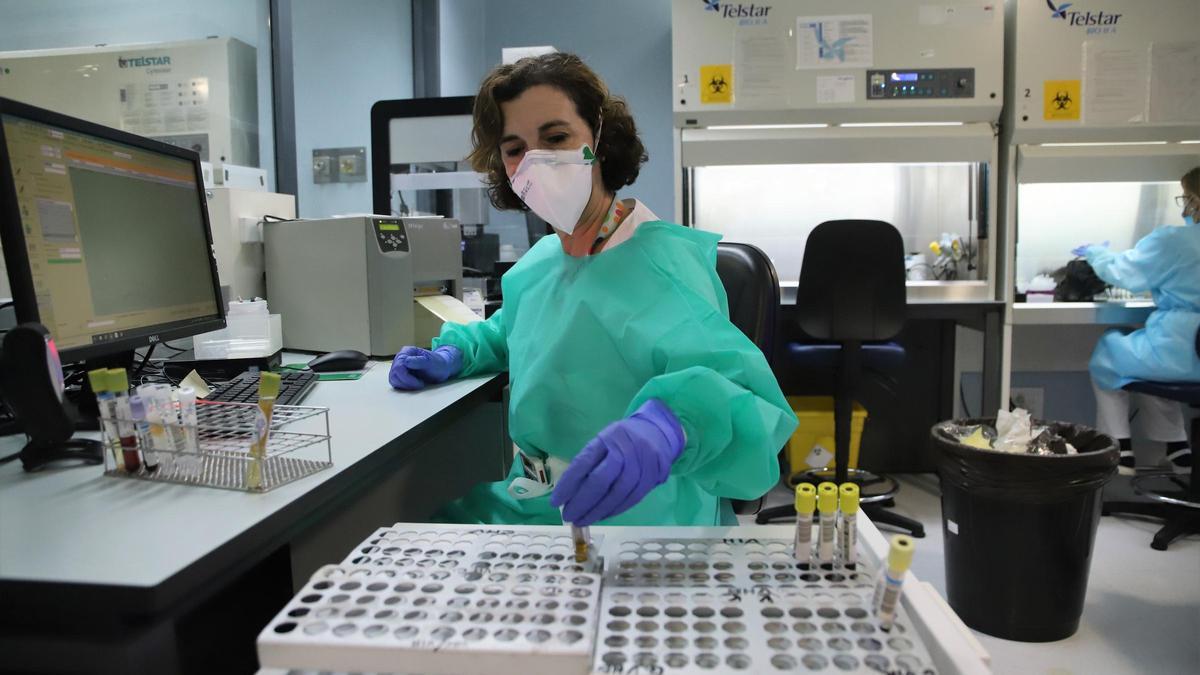 Una profesional del laboratorio de Microbiología del hospital Reina Sofía, donde se procesan las pruebas de covid.