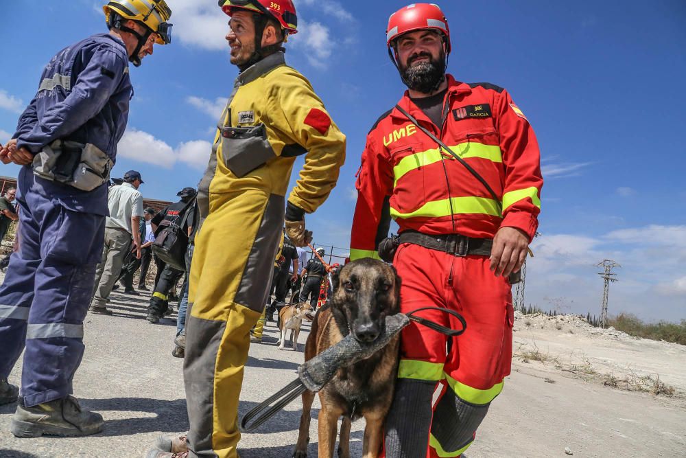 Los efectivos han realizado el simulacro en tres municipios de la Vega Baja