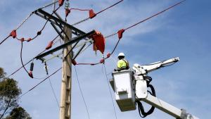 Trabajos de adaptación de una torre eléctrica.