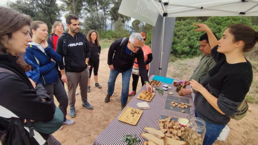 Visitants en una de les parades del recorregut ahir | MITI VENDRELL