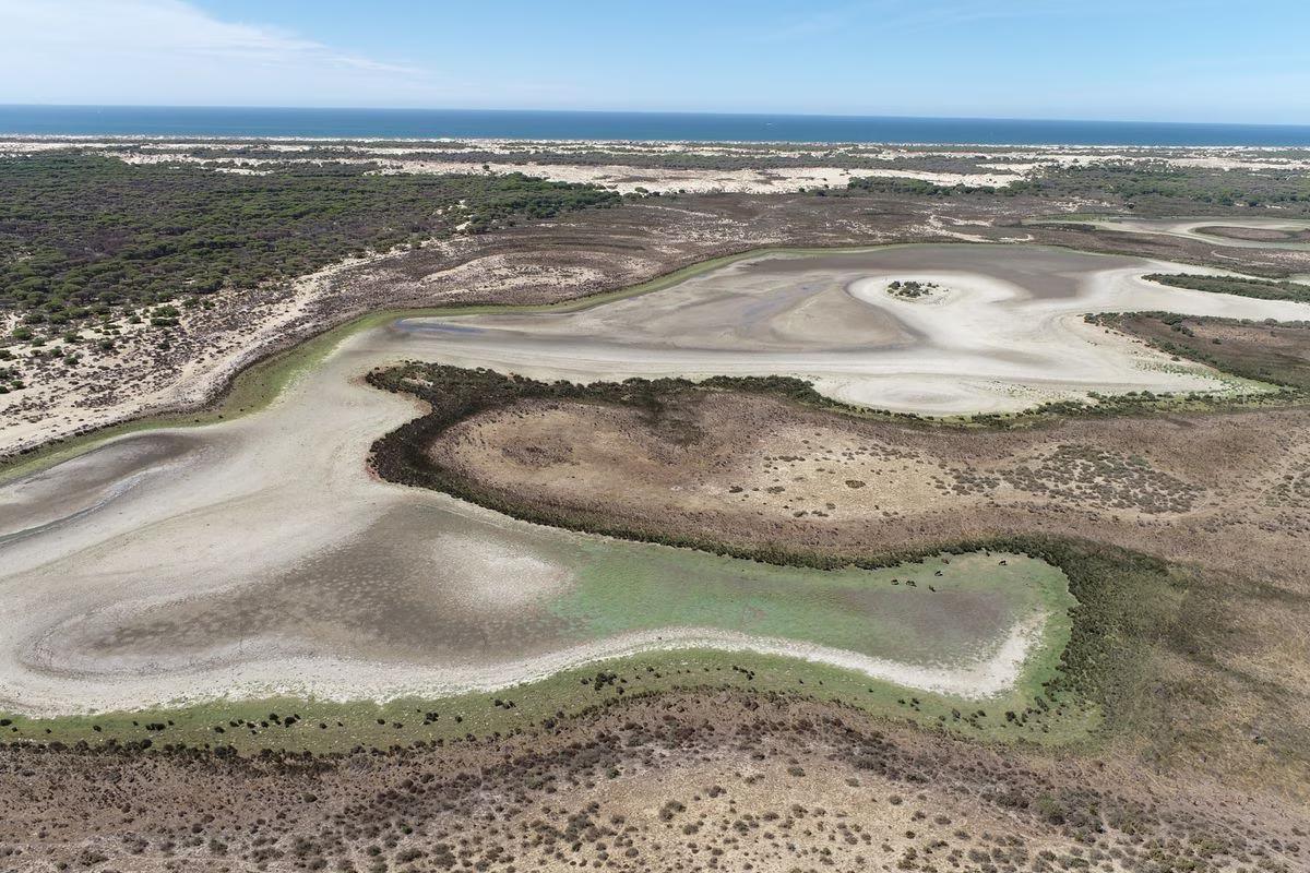 Vista aérea de la laguna permanente de Santa Olalla, en Doñana, seca por completo.