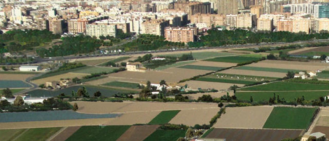 La huerta como climatizador natural