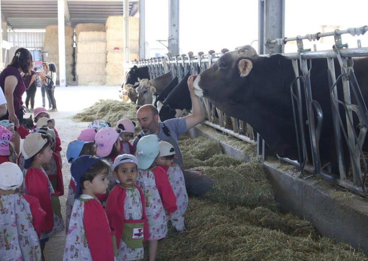 Una lección de respeto al mundo rural