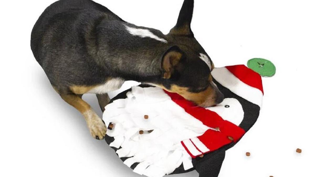 Ideas de regalos para perros y gatos esta Navidad.