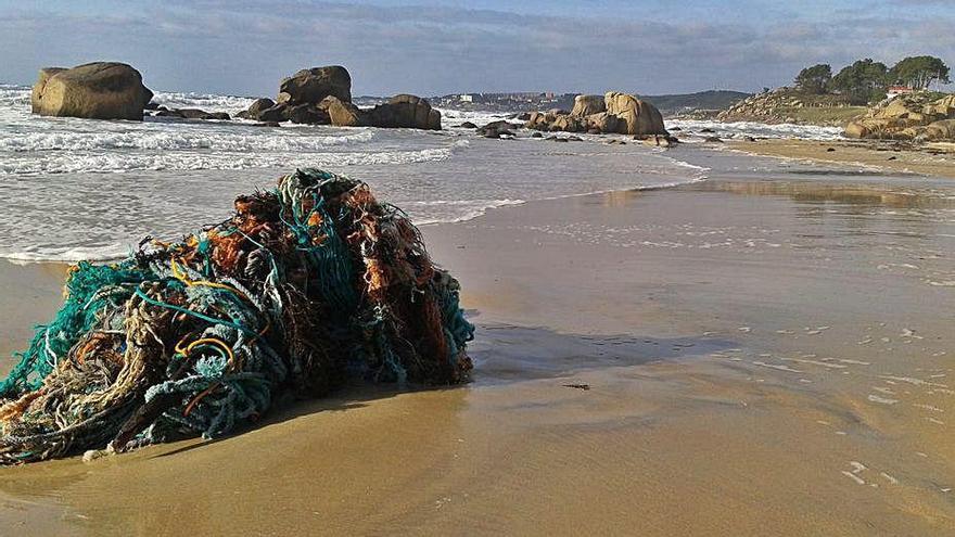 Restos depositados por las corrientes sobre la playa.