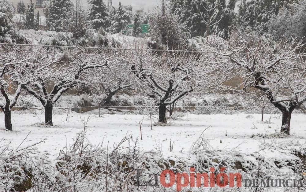 Nieve en las Fuentes del Marqués de Caravaca