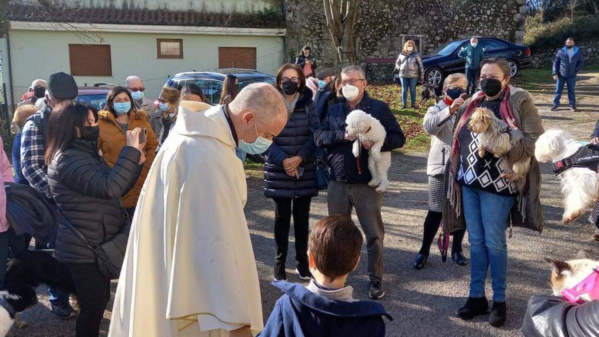 Florentino Hoyos, en la bendición de los animales, ayer, en Parres. | M. V.