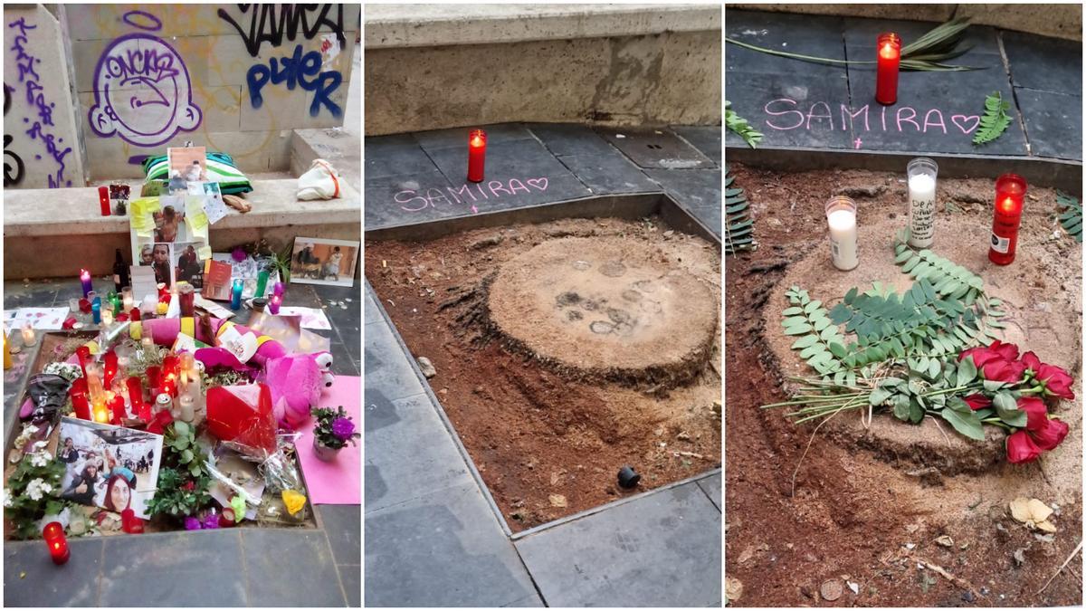 El 'altar' de Shamira en la palmera del Raval que la mató el jueves 10 y viernes 11 de agosto