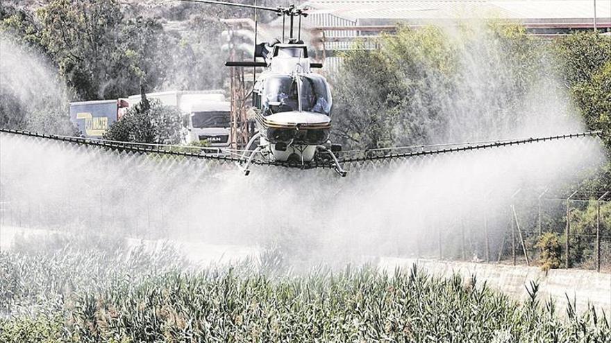 Sanidad convoca una cumbre para decidir si autoriza fumigaciones aéreas antimosquitos