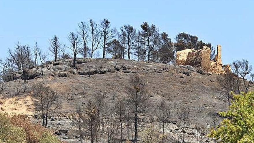 Un edifici abandonat amb els efectes de l&#039;incendi de la Ribera d&#039;Ebre al fons, entre la Palma i Vinebre