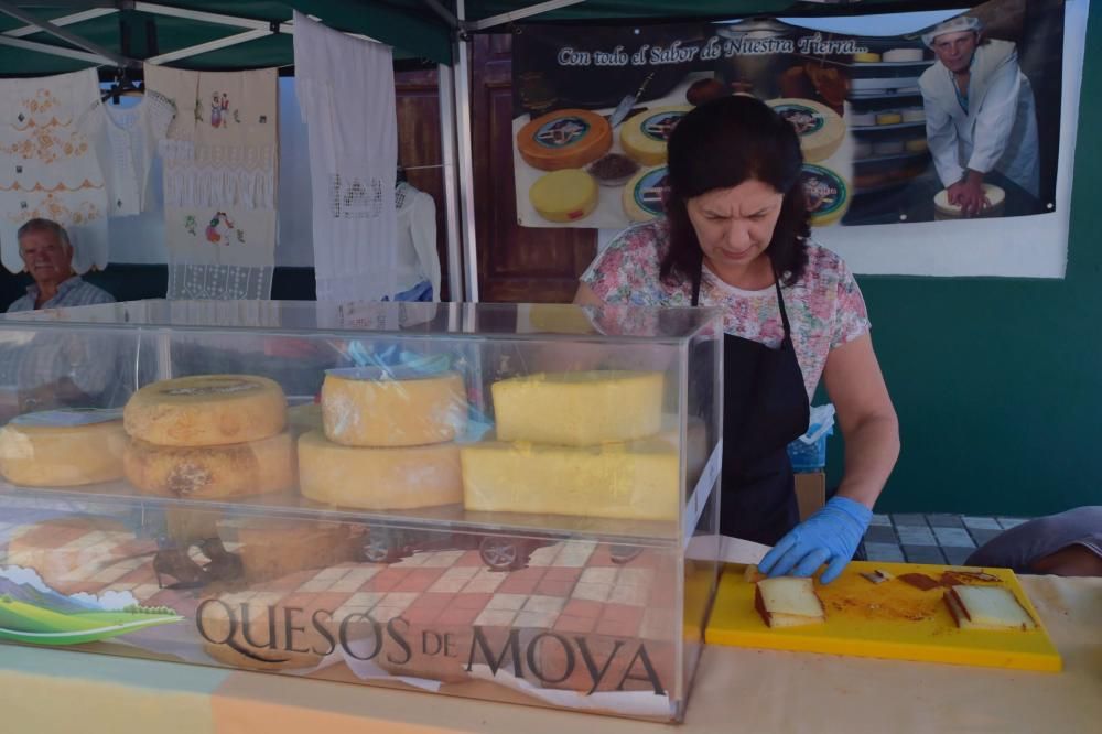 Feria de artesanía de Fontanales