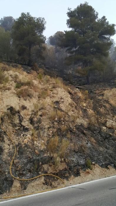 Controlado un incendio forestal en Bolulla