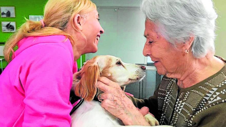 Una anciana durante el programa de terapia con animales.