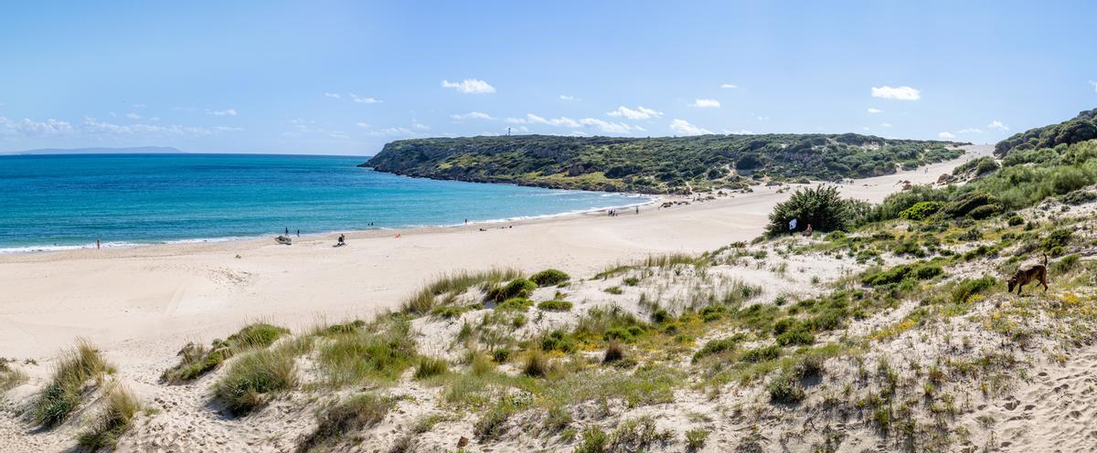 La gran duna de arena de la playa de Bolonia en Cádiz