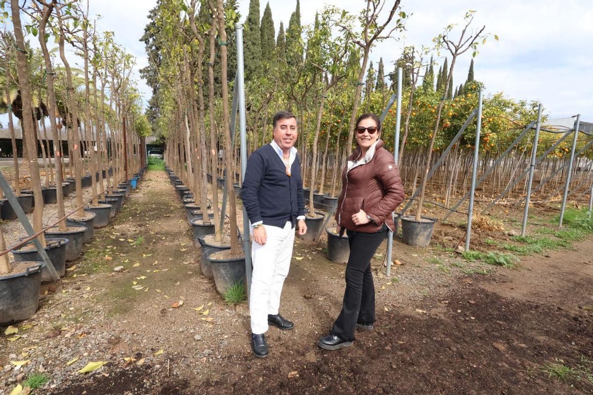 Infraestructuras planea la remodelación integral de los viveros municipales de Huertas de Tejavana en Córdoba